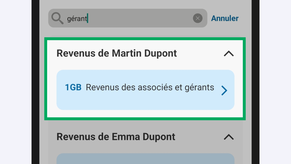 Capture d’écran partielle de l’application présentant la page « Ajouter un revenu » du service « Déclarer mes revenus ». Le code « 1GB - Revenus des associés et gérants » est encadré