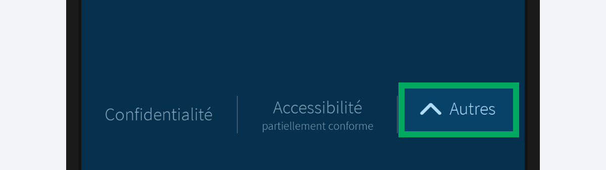 Écran d’accueil de l’application (partiel), avec la zone « + d’infos » encadrée