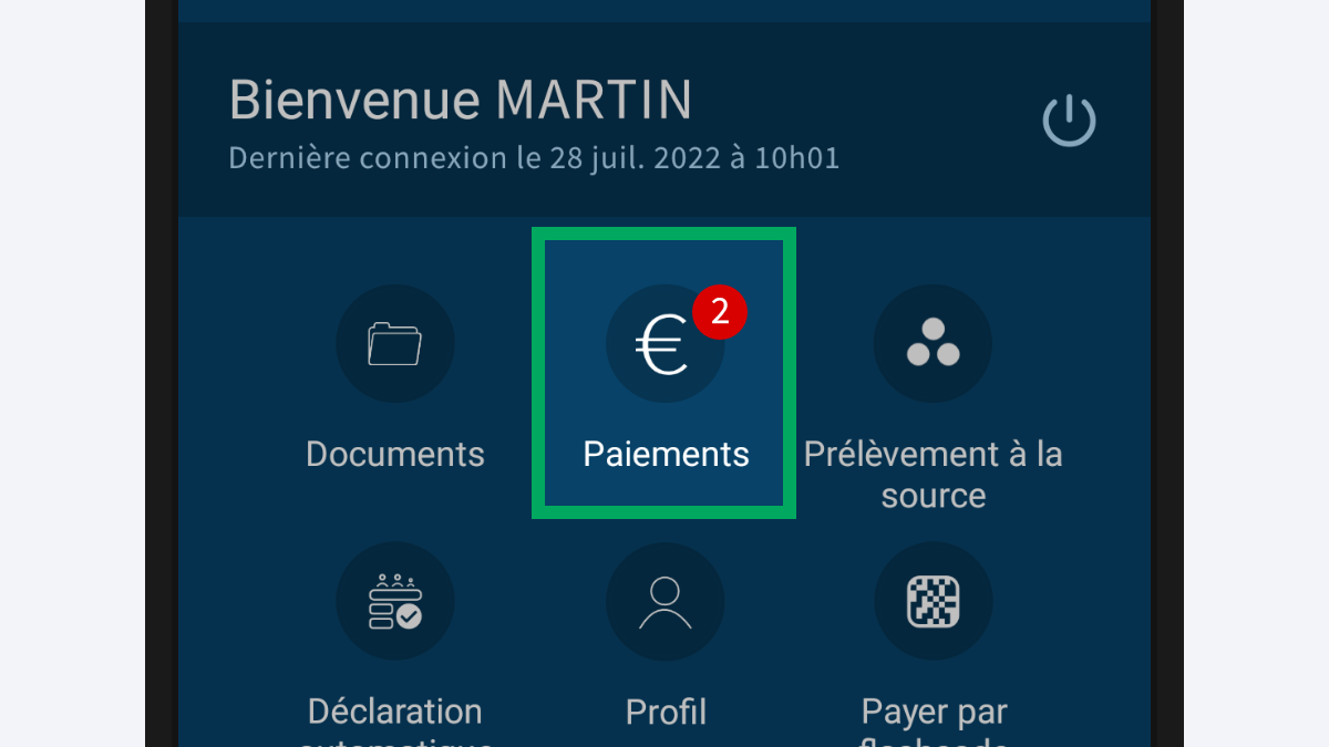Capture d’écran partielle de l’application présentant l’icône « Paiements » encadré, à côté des autres icônes des services