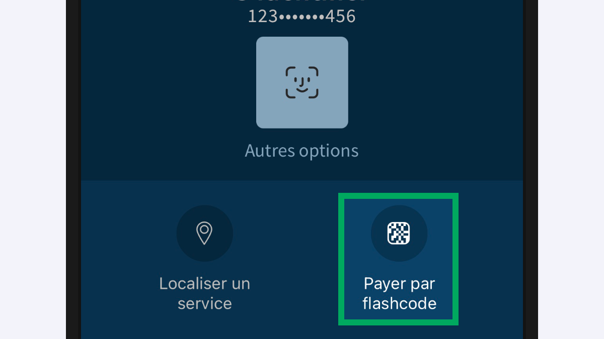 Capture d’écran partielle de l’application présentant
                                l’icône « Payer par flashcode » encadré, à côté des autres icônes des services