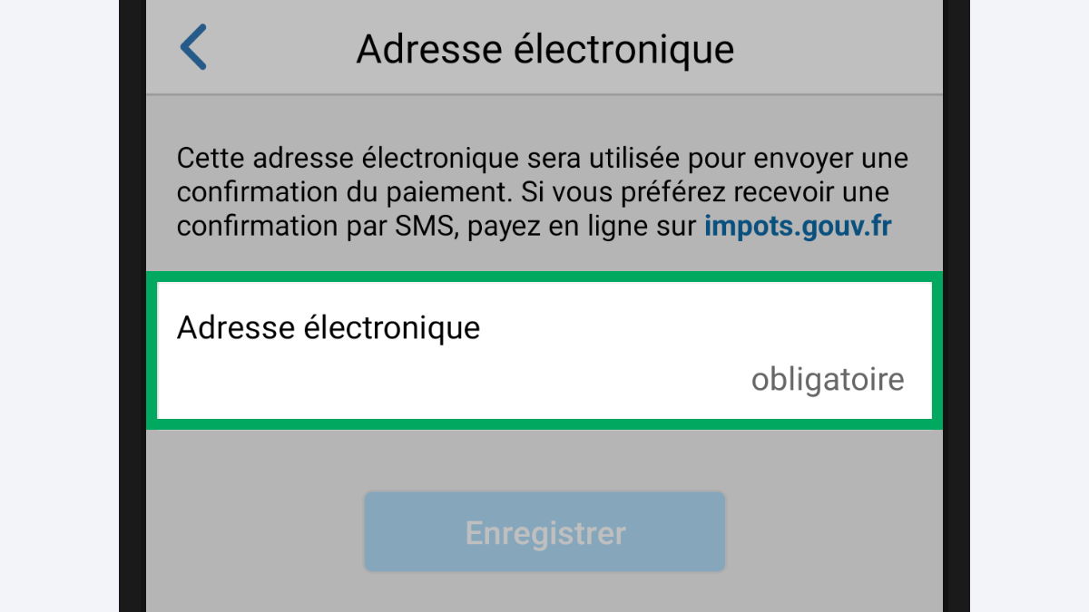 Capture d’écran partielle de l’application présentant la page « Adresse électronique ». La ligne « Adresse électronique » (champ vide avec placholder « obligatoire ») est encadrée.
