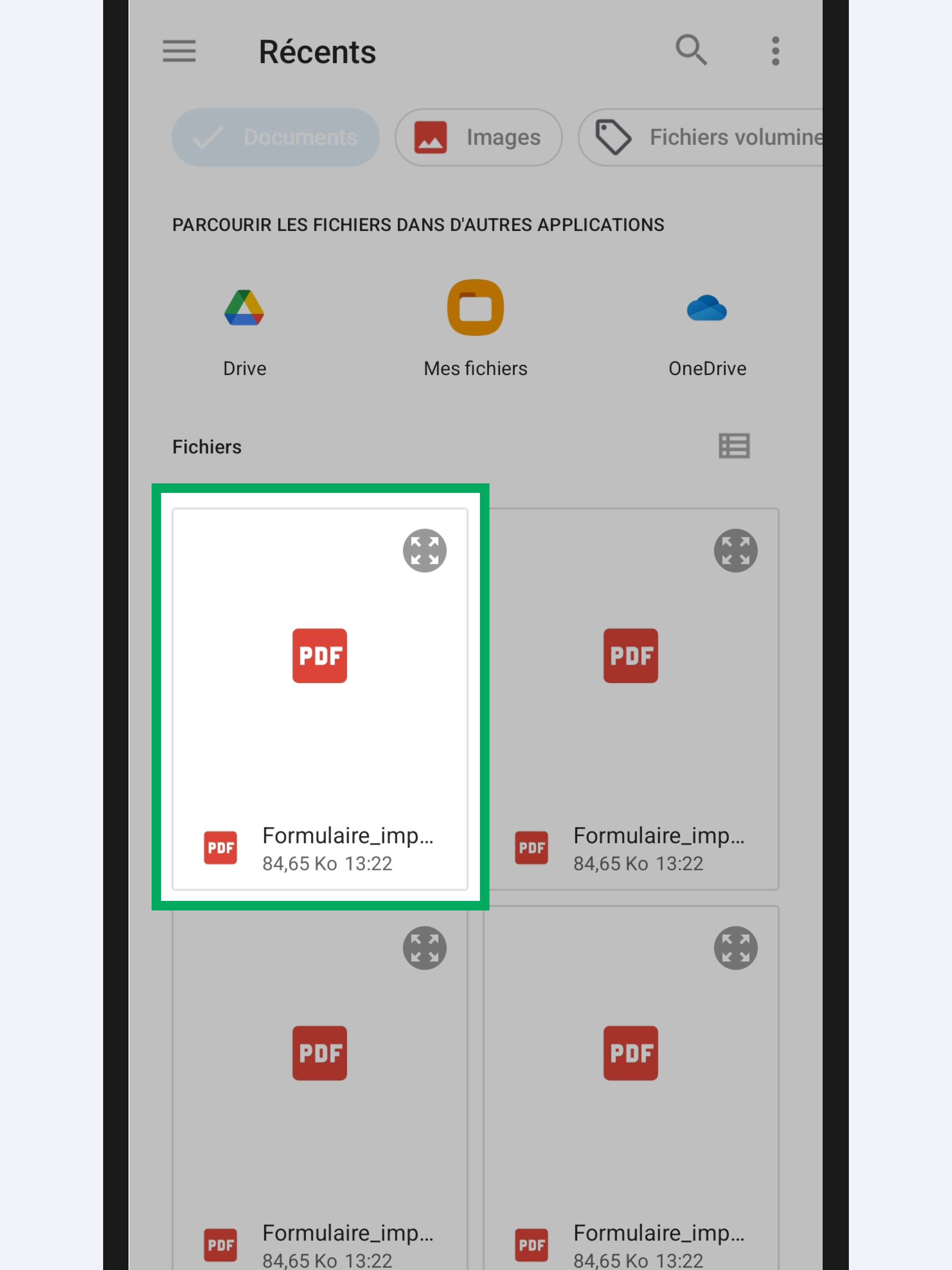 Capture d’écran partielle de l’application présentant 
                                                    le gestionnaire de fichiers de l’appareil. Un fichier est encadré.